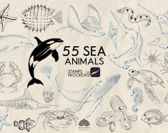 Sea animals Procreate Stamps Fish Stamp Brushes for Procreate Ocean life Marine Sea life Sea creatures Nautical Under The Sea line drawing