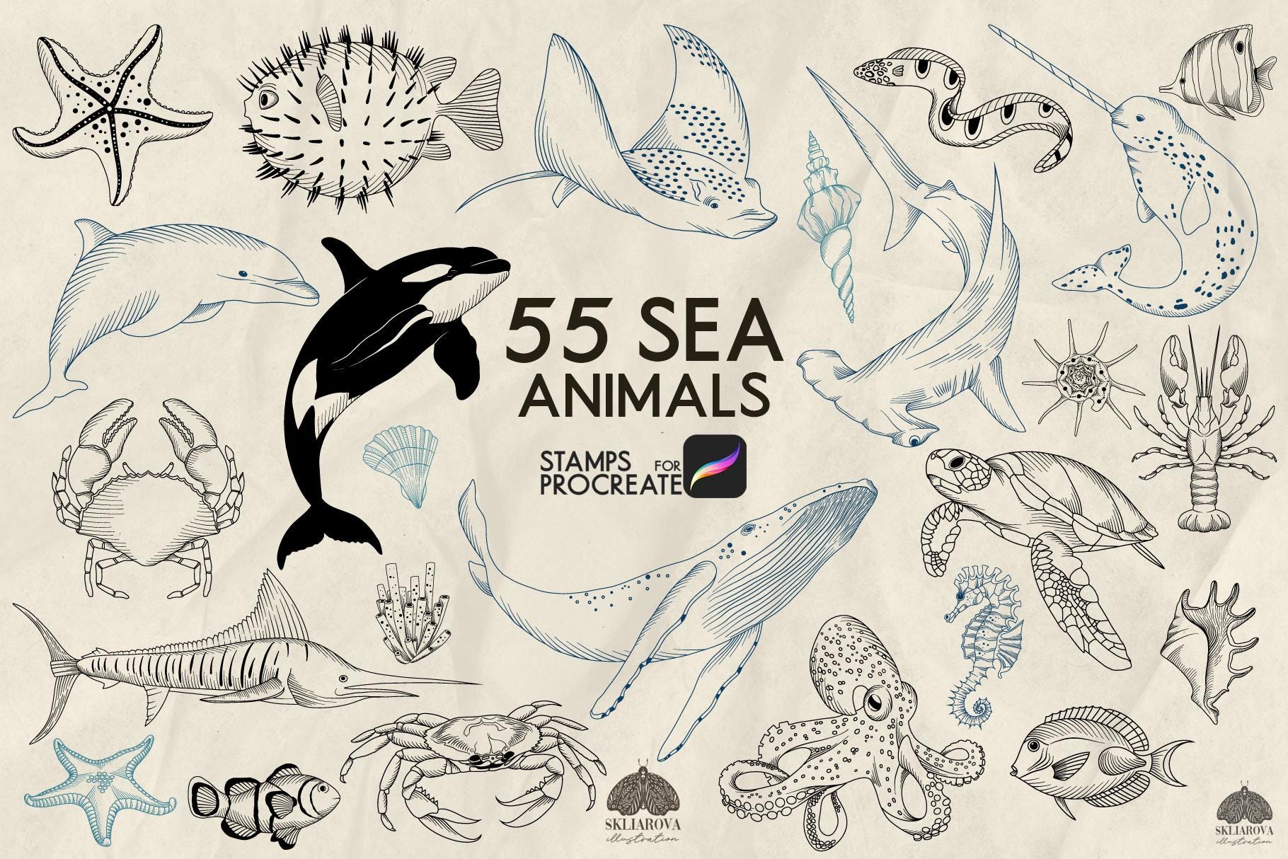 Sea Animals Procreate Stamps – 55 Ocean Life Fish & Marine Creatures Line Brushes