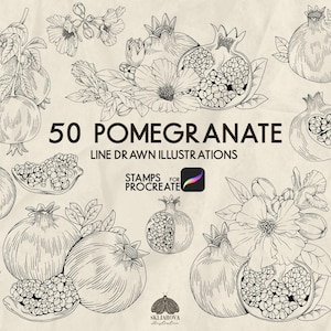 Può includere: Illustrazioni a tratto in bianco e nero di melograni e fiori. L'immagine presenta melograni interi e tagliati, composizioni floreali e il testo "50 POMEGRANATE LINE DRAWN ILLUSTRATIONS" e "STAMPS FOR PROCREATE".