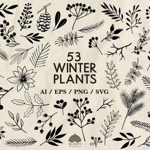 Ramas de invierno Svg Paquete Plantas navideñas Svg Contorno botánico Silueta Svg Hojas de acebo Ramitas de bayas Elementos florales dibujados a mano Png Eps