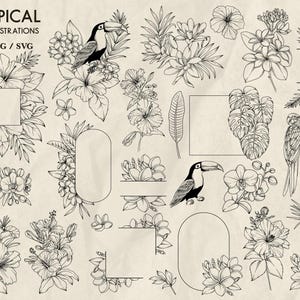 Peut inclure: Un ensemble de 70 dessins au trait en noir et blanc de fleurs tropicales, de feuilles, de toucans et de perroquets. Les illustrations sont parfaites pour cr&eacute;er des invitations, des cartes et d'autres designs.