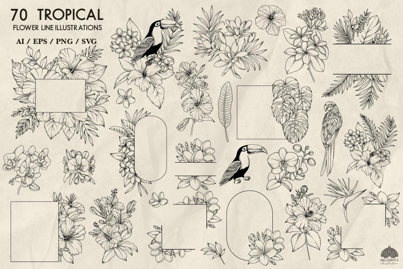 Peut inclure: Un ensemble de 70 dessins au trait en noir et blanc de fleurs tropicales, de feuilles, de toucans et de perroquets. Les illustrations sont parfaites pour cr&eacute;er des invitations, des cartes et d'autres designs.