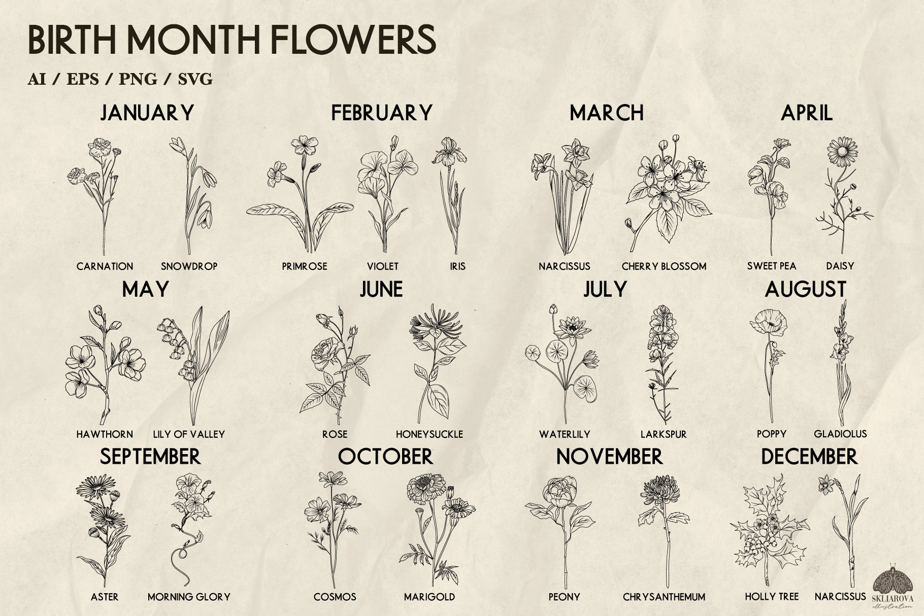 Birth Month Flower Svg Bundle Line Drawing Birth Flower of Month Svg