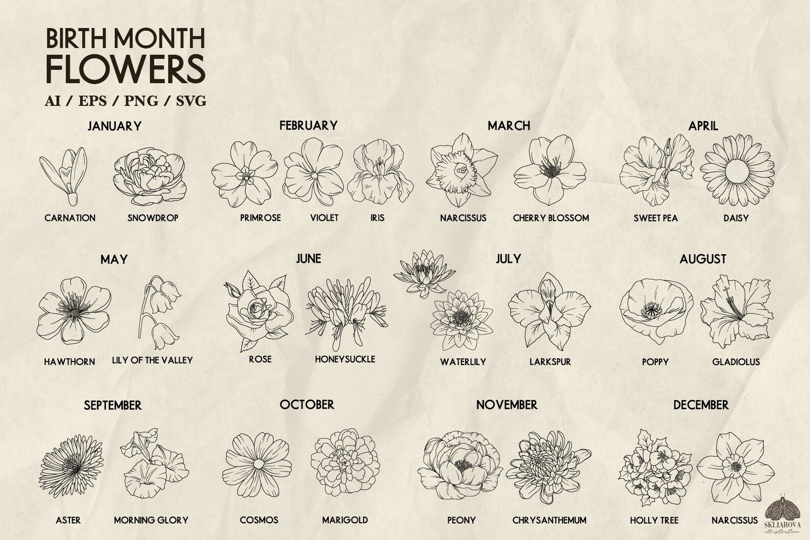 Birth Month Flower Svg Bundle Line Drawing Birth Flower of Month Svg
