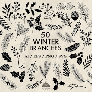 Ramas de invierno Svg Paquete Plantas navideñas Svg Contorno botánico de invierno Silueta Svg Hojas de acebo Elementos dibujados a mano negros Vector Png