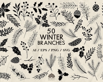Ensemble de branches d'hiver Svg plantes de Noël Contour botanique d'hiver Svg Silhouette feuilles de houx Svg noir Éléments dessinés à la main Vector Png