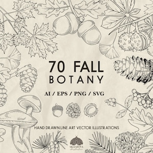 Fall Svg Bundle Autumn Botanical Line Art Svg Line Drawing Botany Vector Leaves Floral Svg Plants Mushroom Svg Pinecone Svg Acorn Svg Berry
