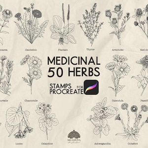 May include: A detailed line drawing showcasing 20 medicinal herbs, including Lavender, Chamomile, and Calendula. The image is labelled with the text "Medicinal 50 Herbs" and the words "Stamps for Procreate".