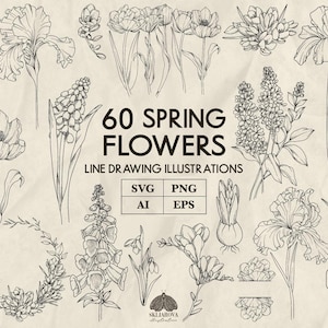 Lentebloemen Svg bundel tulpen Svg narcis Svg Floral lijntekeningen lila Svg lente framerand Svg botanische hand getrokken PNG bruiloft ontwerp