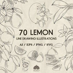 Lemon Svg Bundle Lemon Branches Svg Lemon Fruit Svg Lemon Line Drawing Illustration Png Lemon Citron Leaves Hand Drawn Line Art Lemon Vector