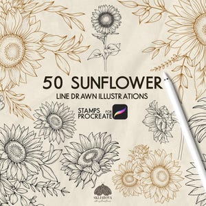 May include: A digital collection of 50 sunflower line drawn illustrations for Procreate, featuring various black and brown ink-style floral sketches of sunflowers with leaves and stems, accompanied by a white digital stylus pen on a textured background.