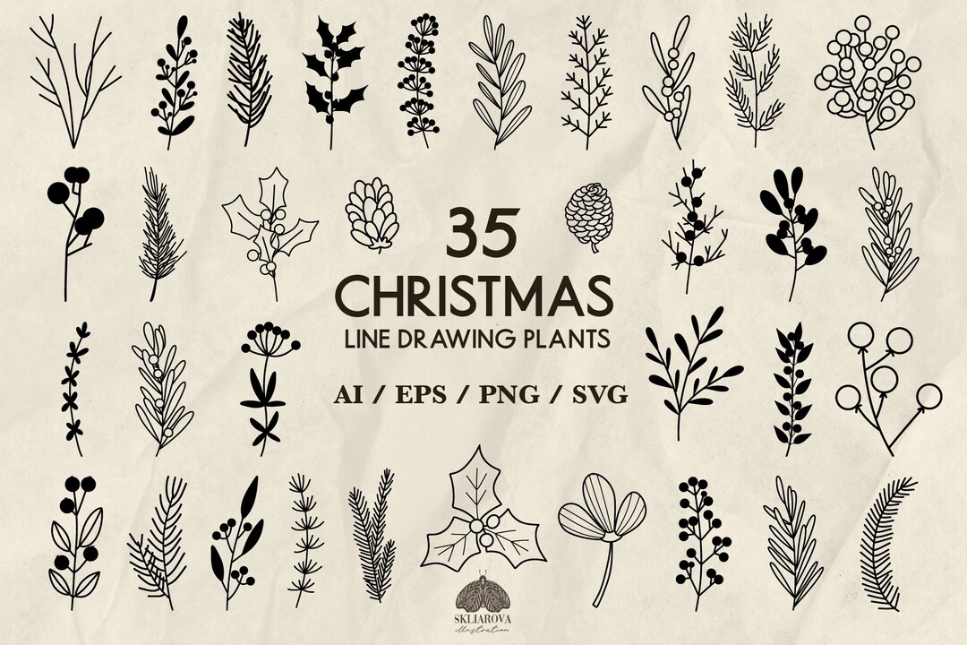 Christmas Plants Svg Bundle Winter Florals Outline Silhouette Svg