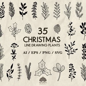 Pacchetto di piante natalizie in formato SVG, silhouette di fiori invernali, ramo di agrifoglio, bacche, elementi botanici disegnati a mano, vettore, Png, stencil floreale