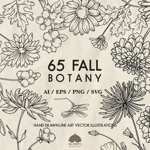 Pacote Floral Outono Svg Flores de Outono Svg Arte Botânica Linha Svg Desenho de Linha Botânica Vetor Folhas Floral Svg Desenho Desenhado à Mão Plantas Baga