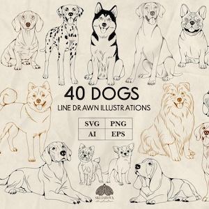 Könnte beinhalten: Strichzeichnungen von 40 verschiedenen Hunderassen, darunter Dalmatiner, Husky und Labrador. Die Illustrationen sind in Schwarz, Weiß und Beige gehalten, mit dem Text "40 DOGS LINE DRAWN ILLUSTRATIONS" in der Mitte.