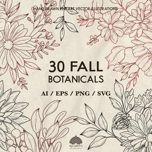 Blumen SVG Bundle Botanische Linie Zeichnung SVG Png Herbstblumen Herbstblumen Umriss Dahlie Aster Blumendesign