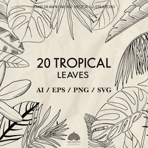 Feuilles tropicales feuilles de Monstera Svg contour feuille de palmier Svg dessin au trait botanique Svg feuilles silhouette fichier Cricut Svg banane plantes de la jungle