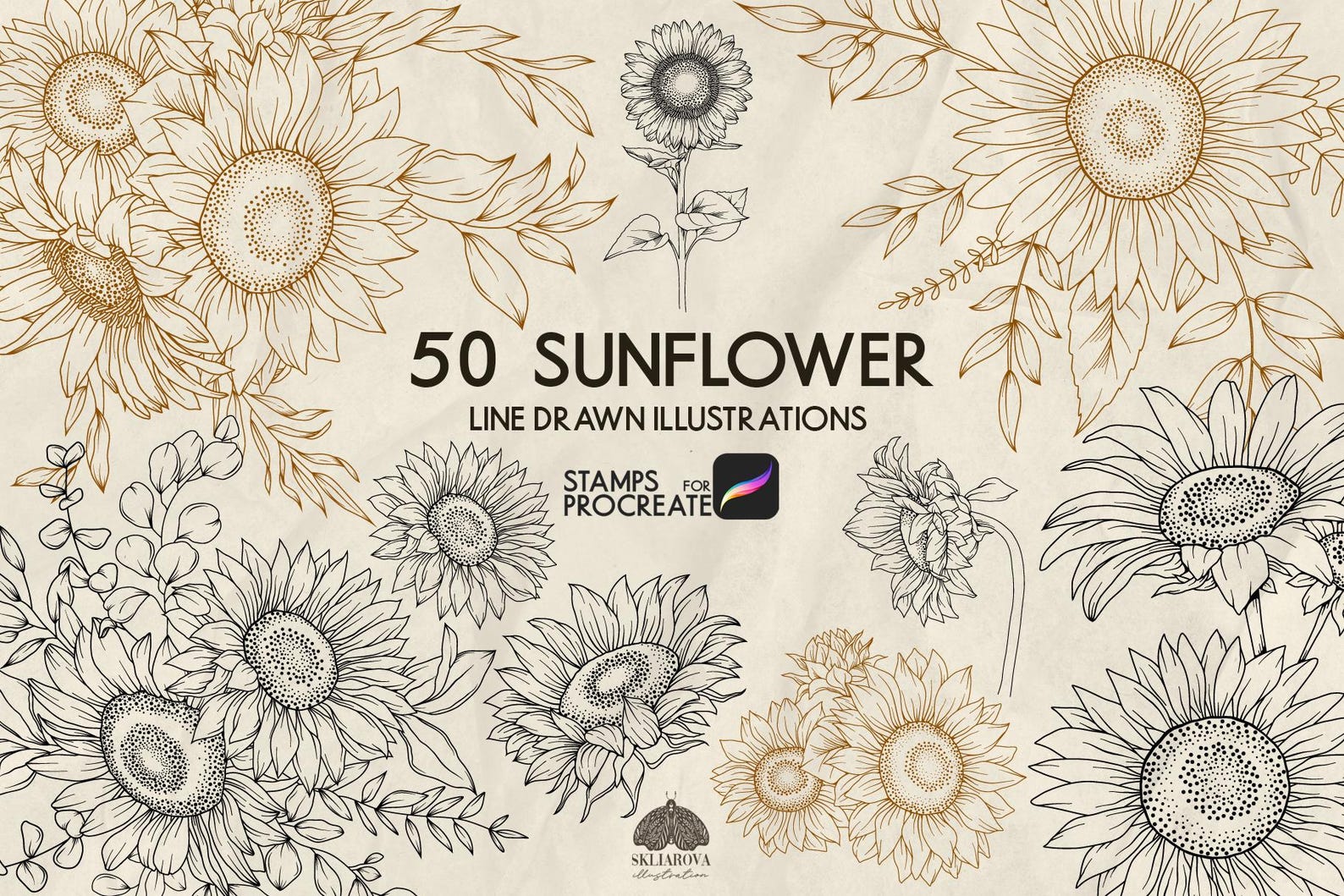 Sunflower Procreate Stamps: 50 Flower Line Art Brushes (procreate iPad ...