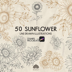 May include: Digital illustrations of sunflowers in various stages of bloom, with leaves and stems. The image includes the text "50 SUNFLOWER LINE DRAWN ILLUSTRATIONS" and "STAMPS FOR PROCREATE". The illustrations are in black and gold.