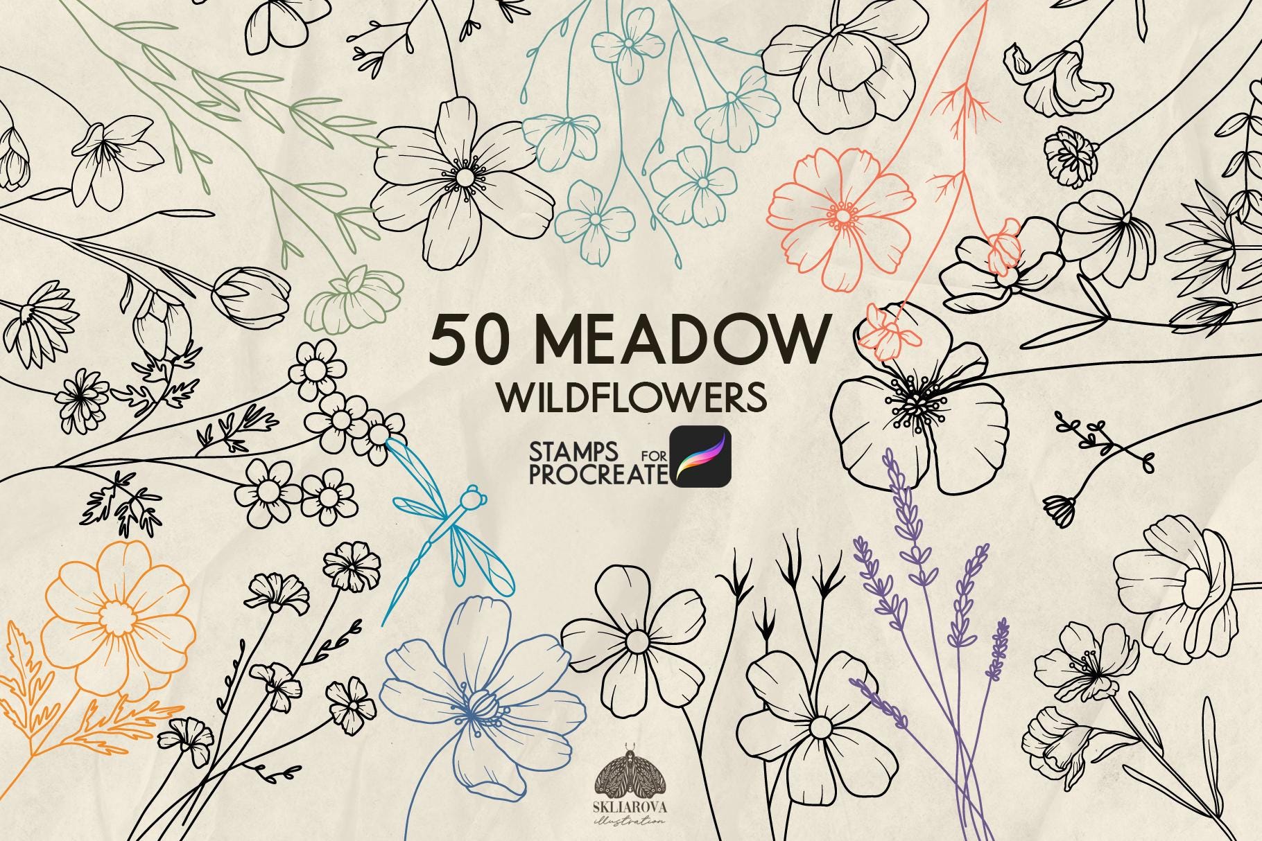 Floral Procreate Stamps Wildflowers Meadow Flowers Coloring Spring and ...