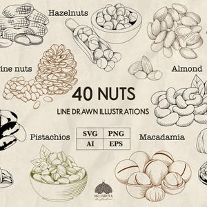 Puede incluir: Ilustraciones lineales de varios frutos secos, como cacahuetes, avellanas, almendras, anacardos y nueces. La imagen incluye el texto "40 NUTS" y opciones de tipo de archivo: SVG, PNG, AI y EPS. Las ilustraciones son en blanco y negro.