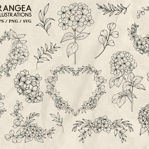 Hydrangea Svg Bundle Line Drawing Hydrangea Flower Wreath Svg Frame ...