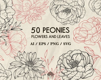 Lot de pivoines SVG : 50 illustrations vectorielles botaniques, dessin au trait floral (+ PNG, EPS)
