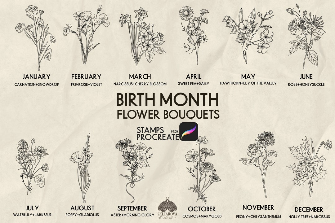 Birth Month Flowers Stamps for Procreate Birth Month Flower Procreate ...