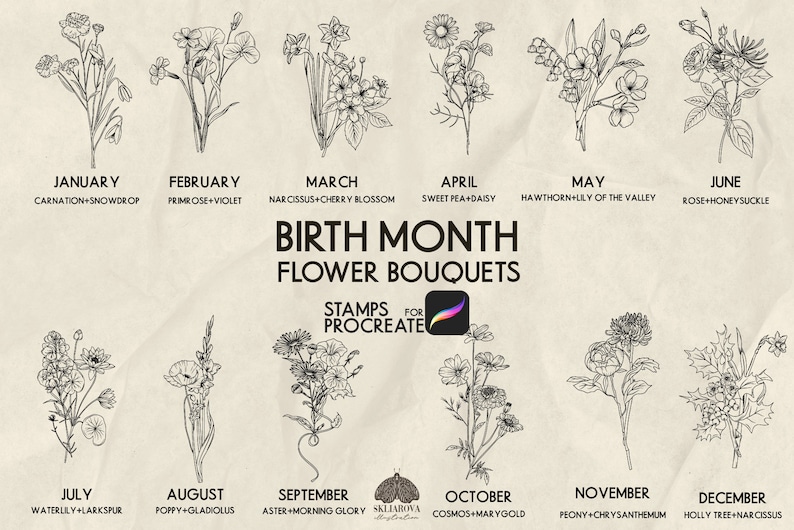 Birth Month Flowers Procreate Stamps: Birthday Floral Bouquet Brushes ...