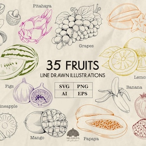 Puede incluir: Ilustraciones lineales de 35 frutas, incluyendo lichi, pitahaya, uvas, carambola, sandía, higos, piña, mango, papaya, limón, plátano y granada. La imagen incluye el texto "35 FRUITS LINE DRAWN ILLUSTRATIONS".