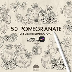 Può includere: Una collezione digitale di 50 illustrazioni al tratto di melograni con vari frutti interi e tagliati a metà con semi e fiori. Uno stilo bianco è posizionato diagonalmente sulla pagina, che include il testo 50 POMEGRANATE LINE DRAWN ILLUSTRATIONS STAMPS FOR PROCREATE.