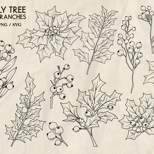 May include: A set of 40 black and white line drawings of holly tree branches with berries. The branches are in various styles and sizes, and some have leaves. The drawings are on a white background.