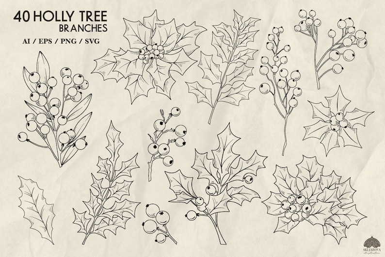 May include: A set of 40 black and white line drawings of holly tree branches with berries. The branches are in various styles and sizes, and some have leaves. The drawings are on a white background.