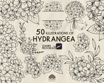 Hydrangea Stamps for Procreate: 50 Botanical Line Art Brushes (Procreate iPad Only)