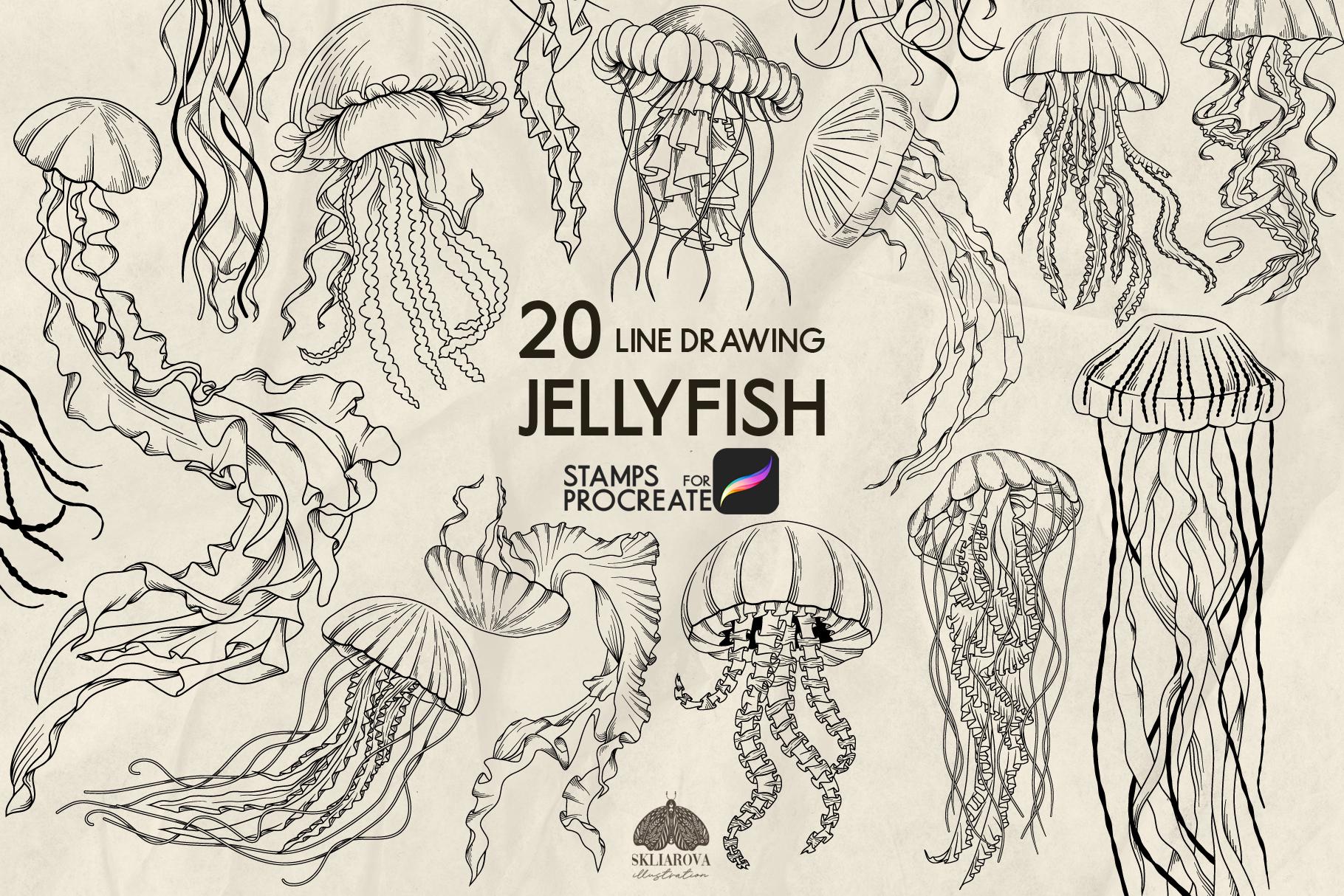 Jellyfish Procreate Stamps Sea animals Stamp Brushes for Procreate Coloring Jellyfish Line Medusa Ocean animals Nautical Stamp Brush set