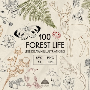 Könnte beinhalten: Eine Sammlung von 100 Strichzeichnungen zum Thema Waldleben mit einem Hirsch, Kaninchen, Maus, Vogel, Schmetterling, Biene, Marienkäfer, Käfer, Pilzen, Blumen, Tannenzapfen, Eicheln und Farnen. Der Text lautet 100 FOREST LIFE LINE DRAWN ILLUSTRATIONS SVG PNG AI EPS.
