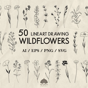 Bundle Svg de fleurs sauvages botanique minimaliste Dessin au trait simple Svg Floral Line Art Bleuet pavot Daisy Cricut Files Meadow Flower Png Svg