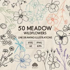 Weide wilde bloemen Svg bundel lijntekening eenvoudige bloemen Svg bloemenelementen bruiloft lijntekeningen botanische schets handgetekende wilde bloemen, PNG