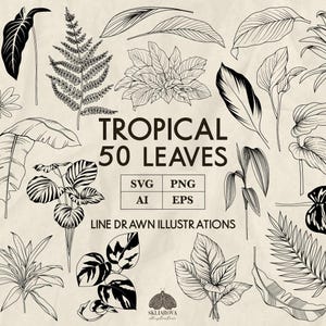 Pacchetto di foglie tropicali in formato SVG, Piante tropicali in formato SVG, Disegni lineari floreali, Disegni lineari botanici, Monstera della giungla in formato SVG, Clipart estivi, Vettore disegnato a mano