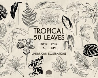 Paquete SVG de hojas tropicales: 50 diseños botánicos de arte lineal (+ PNG, EPS, AI)