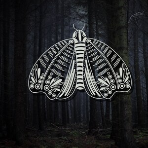 May include: A black and white illustration of a moth with intricate details on its wings, set against a dark forest background.