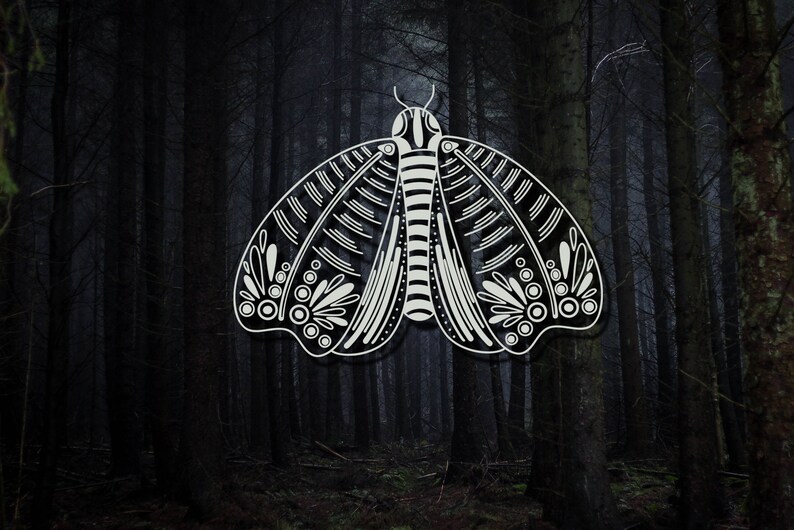May include: A black and white illustration of a moth with intricate details on its wings, set against a dark forest background.