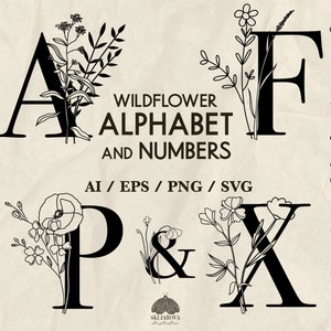 Pacote de alfabeto de flores silvestres SVG Alfabeto floral ABC Letras botânicas desenhadas à mão Números Clipart Monograma de casamento floral Cricut Letra PNG