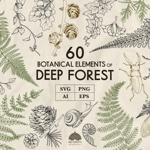 Puede incluir: Ilustración con 60 elementos botánicos del bosque profundo, incluyendo helechos, piñas y un ciervo volante. El texto dice "60 Elementos botánicos del bosque profundo" con opciones de tipo de archivo: SVG, PNG, AI y EPS.