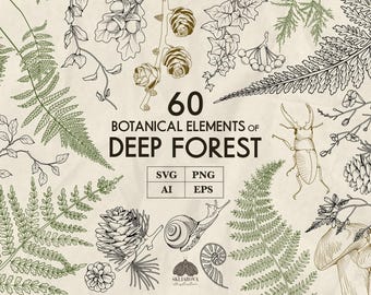 Bundle Svg floral forêt Dessin botanique Fougère Svg Plantes d'automne, pomme de pin, gland, sapin Éléments de bricolage Png Dessin au trait automne Vecteur de contour botanique