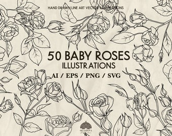 Rosen Line Art SVG Bundle: 50 botanische handgezeichnete Illustrationen (+ Png, Eps, Ai)