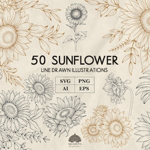 Handgezeichnete Sonnenblumen Png Floral Linie Kunst Botanische Linie Zeichnung Split Rahmen Vektor Sonnenblumen Kranz SVG Illustration