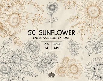 Sonnenblume handgezeichnet SVG Bundle: Floral Line Art (50 Illustrationen)