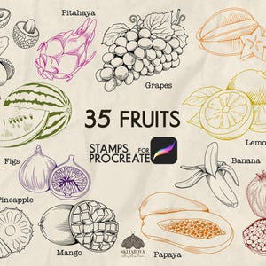 May include: A line drawing featuring 35 fruits, such as lychee, pitahaya, grapes, carambola, watermelon, lemon, figs, pineapple, mango, papaya, banana, and pomegranate. The image includes the text "35 FRUITS" and "STAMPS FOR PROCREATE".