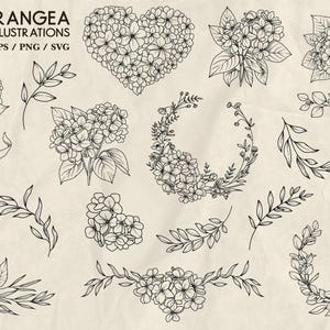 Hydrangea Svg Bundle Line Drawing Hydrangea Flower Wreath Svg Frame ...
